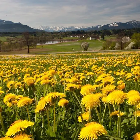 Waldhorn Szálloda Kempten