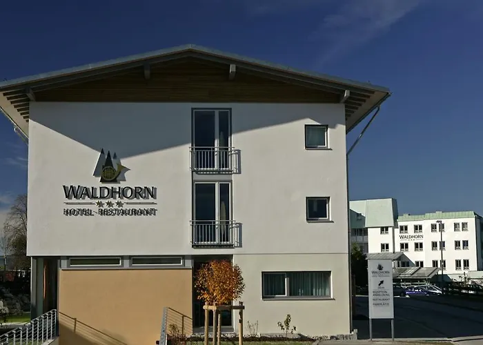 Waldhorn