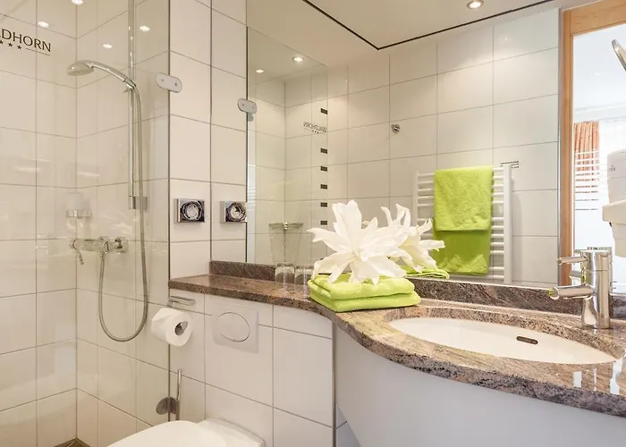 Hotell Waldhorn 3*